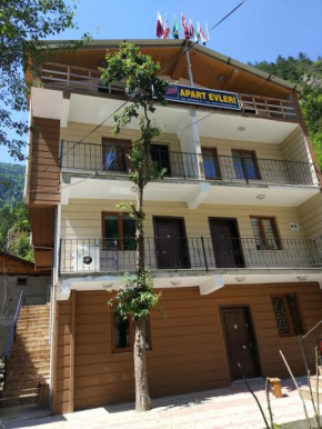 Отель Asan Apart  Uzungöl